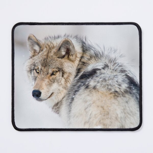 Item preview, Timber Wolf designed and sold by WolvesOnly.