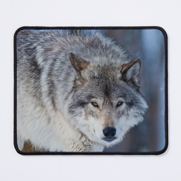 Artikelvorschau, Timber Wolf entworfen und verkauft von WolvesOnly.