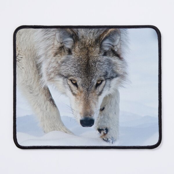 Artikelvorschau, Timber Wolf entworfen und verkauft von WolvesOnly.