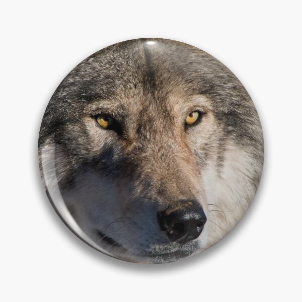 Item preview, Timber Wolf designed and sold by WolvesOnly.