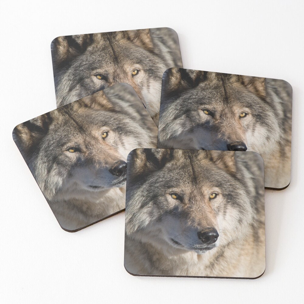 Item preview, Coasters (Set of 4) designed and sold by WolvesOnly.