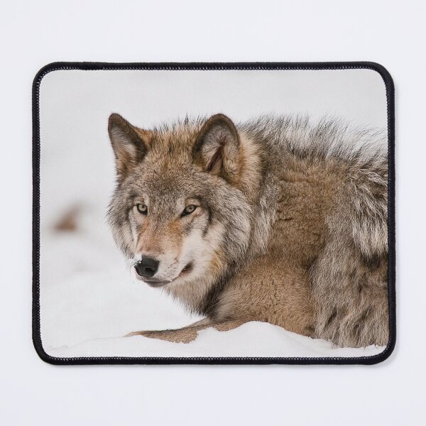 Item preview, Timber Wolf designed and sold by WolvesOnly.