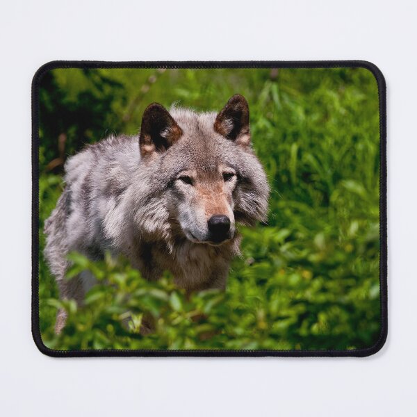 Item preview, Timber Wolf designed and sold by WolvesOnly.