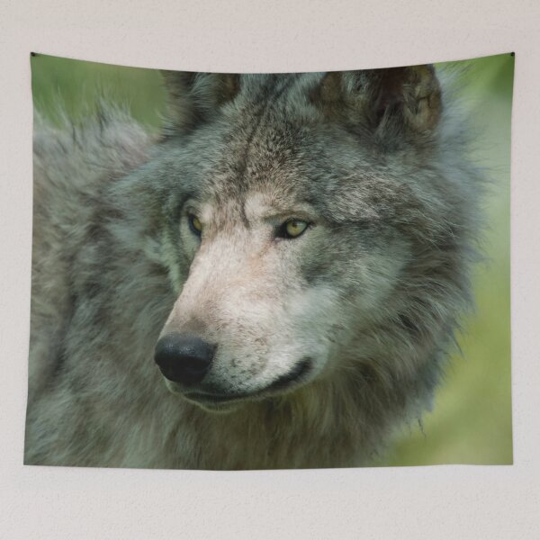 Item preview, Timber Wolf designed and sold by WolvesOnly.