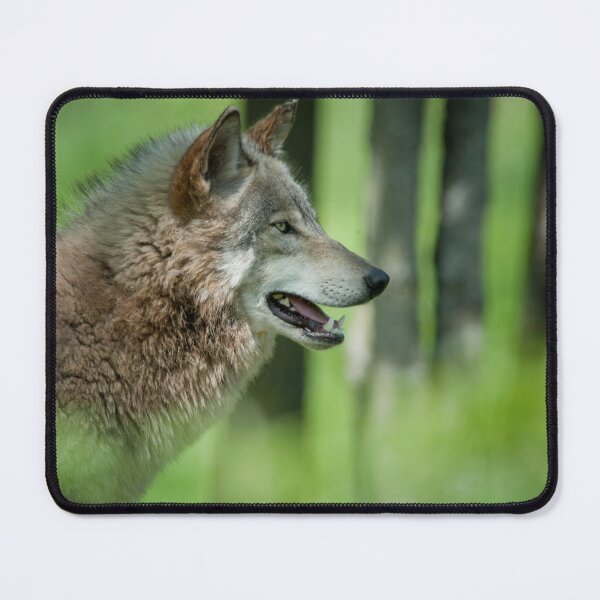 Item preview, Timber Wolf designed and sold by WolvesOnly.