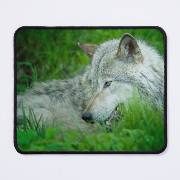 Artikelvorschau, Timber Wolf entworfen und verkauft von WolvesOnly.