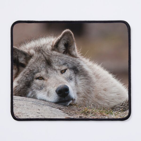 Artikelvorschau, Timber Wolf entworfen und verkauft von WolvesOnly.