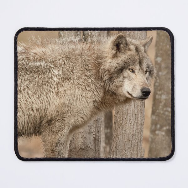 Item preview, Timber Wolf designed and sold by WolvesOnly.