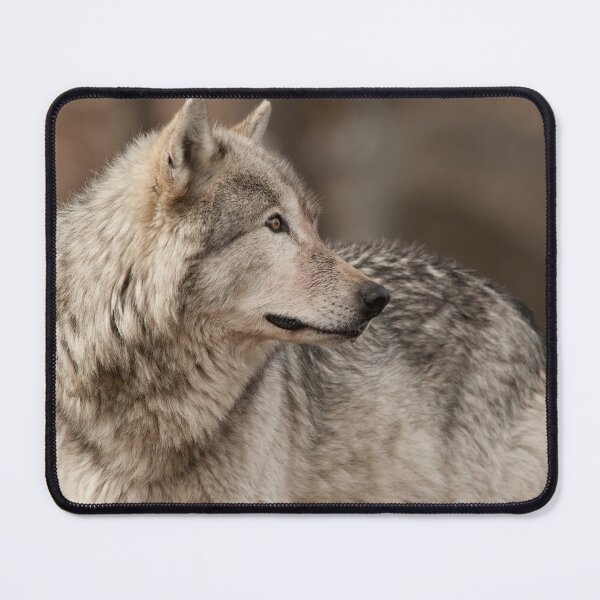 Item preview, Timber Wolf designed and sold by WolvesOnly.