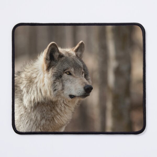 Item preview, Timber Wolf designed and sold by WolvesOnly.