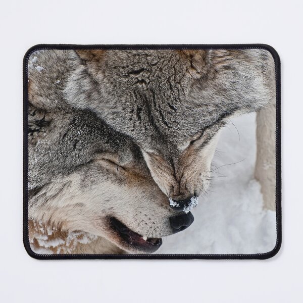 Item preview, Timber Wolves designed and sold by WolvesOnly.