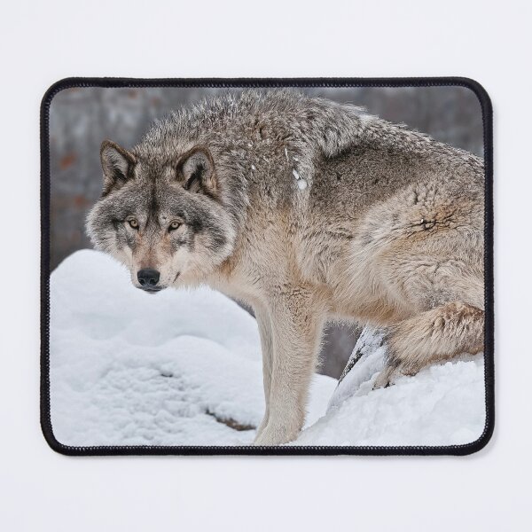 Item preview, Timber Wolf designed and sold by WolvesOnly.