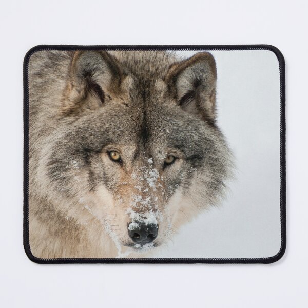 Item preview, Timber Wolf designed and sold by WolvesOnly.