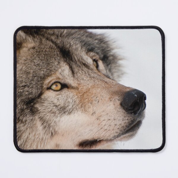 Artikelvorschau, Timber Wolf entworfen und verkauft von WolvesOnly.