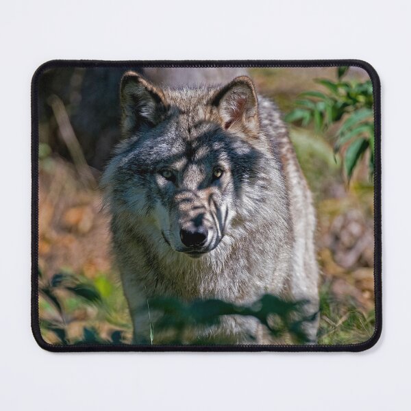 Item preview, Timber Wolf designed and sold by WolvesOnly.