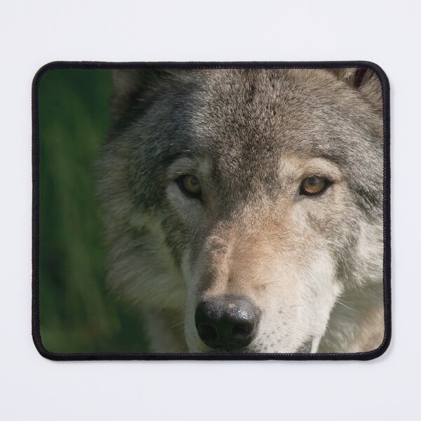 Item preview, Timber Wolf designed and sold by WolvesOnly.