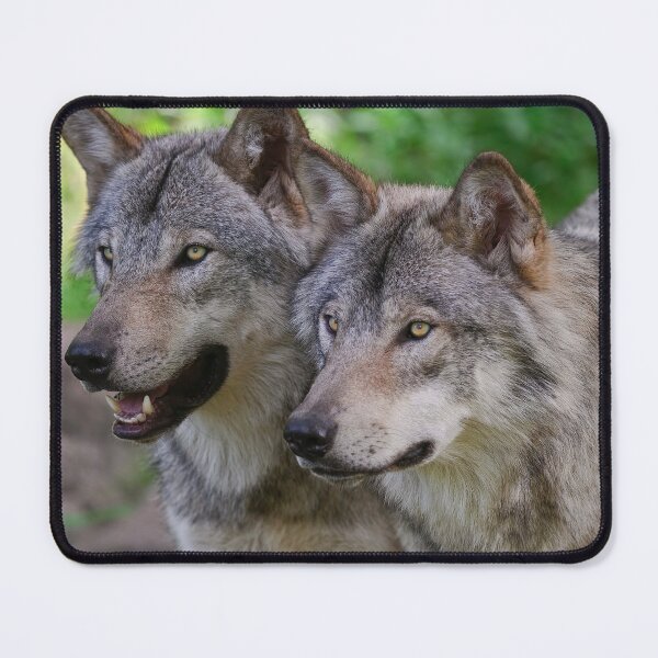 Item preview, Timber Wolves designed and sold by WolvesOnly.