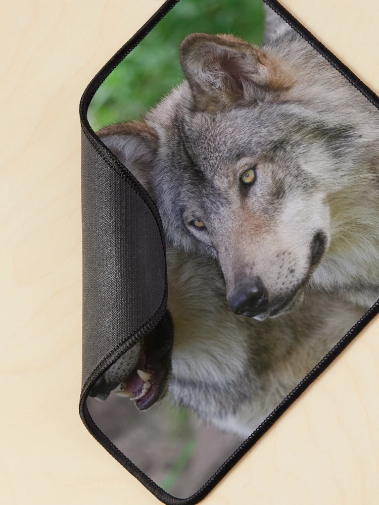 Thumbnail 2 of 5, Mouse Pad, Timber Wolves designed and sold by WolvesOnly.