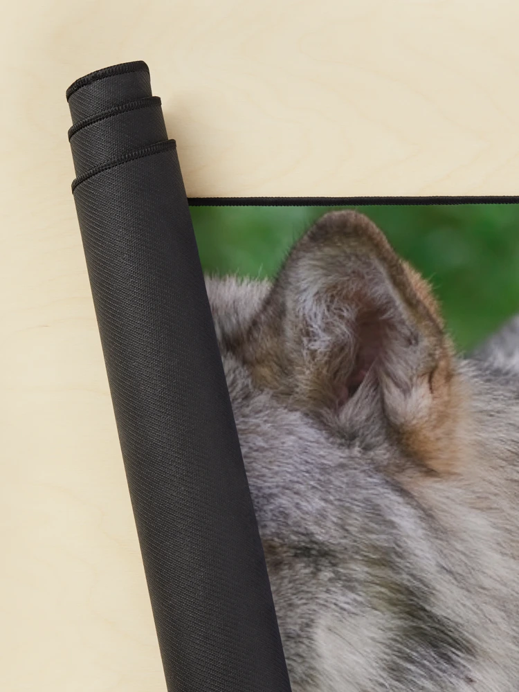 Thumbnail 2 of 5, Mouse Pad, Timber Wolves designed and sold by WolvesOnly.