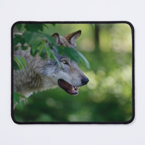 Item preview, Timber Wolf designed and sold by WolvesOnly.