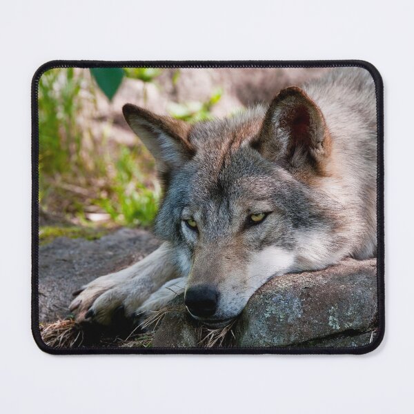 Item preview, Timber Wolf designed and sold by WolvesOnly.