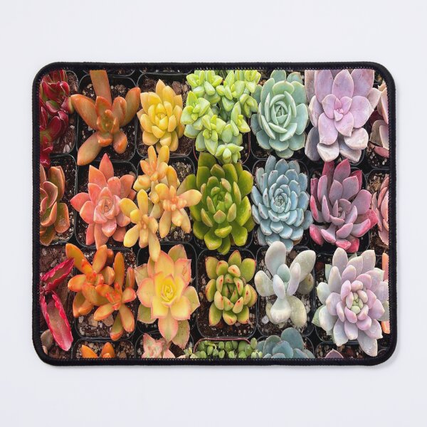Item preview, Succulents designed and sold by Montage-Madness.