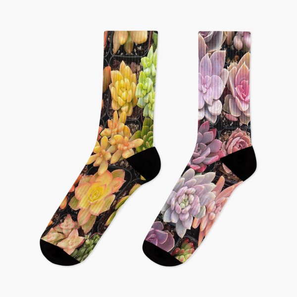 Item preview, Succulents designed and sold by Montage-Madness.