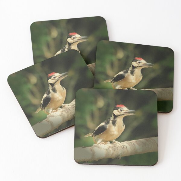 Item preview, Woodpecker Juvenile designed and sold by Ladymoose.