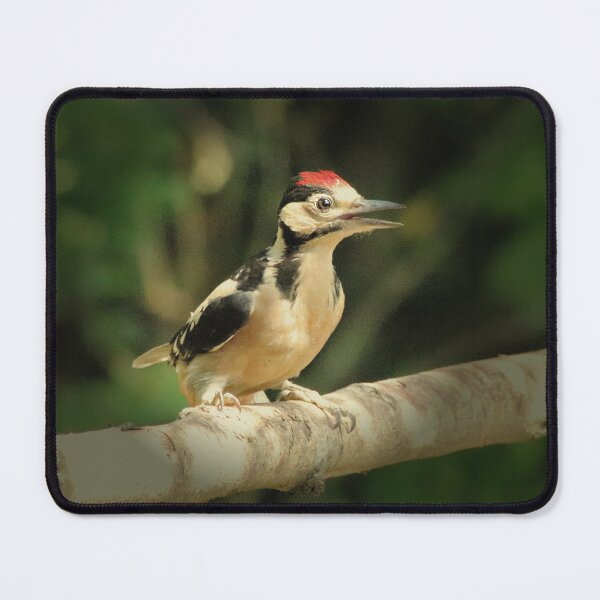 Item preview, Woodpecker Juvenile designed and sold by Ladymoose.