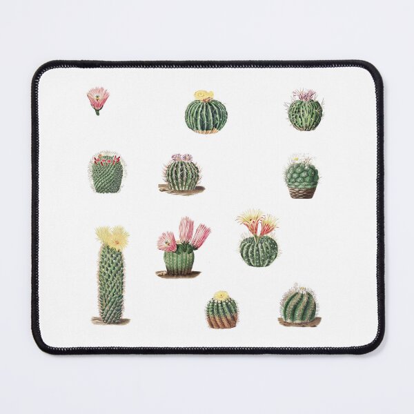 Item preview, Cactus Succulent Pack designed and sold by mariarossip.