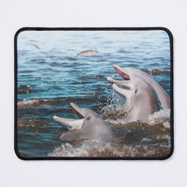 Item preview, Dolphins Chasing Fish in the Ocean, Natural Florida Wildlife Photography designed and sold by Jaynee Grace.