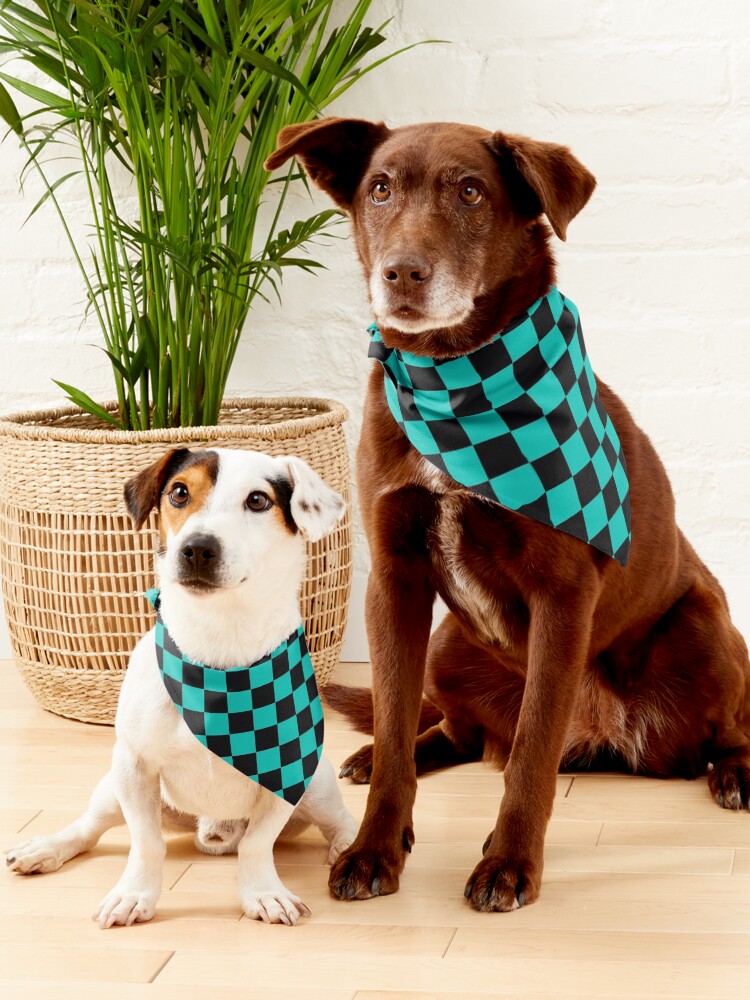 Alternate view of Checkerboard - Black and Turquoise Pet Bandana