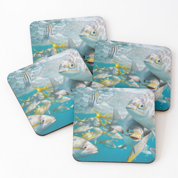 Item preview, Tropical Fish in Blue Ocean Water, Photography designed and sold by Jaynee Grace.