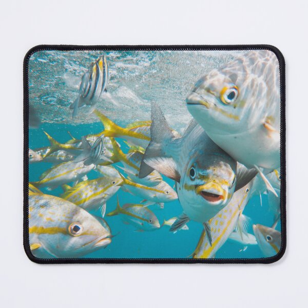 Item preview, Tropical Fish in Blue Ocean Water, Photography designed and sold by Jaynee Grace.