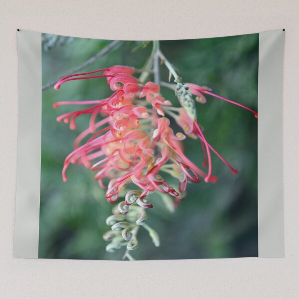 Item preview, Winter Colour - Grevillea designed and sold by imaginethis.