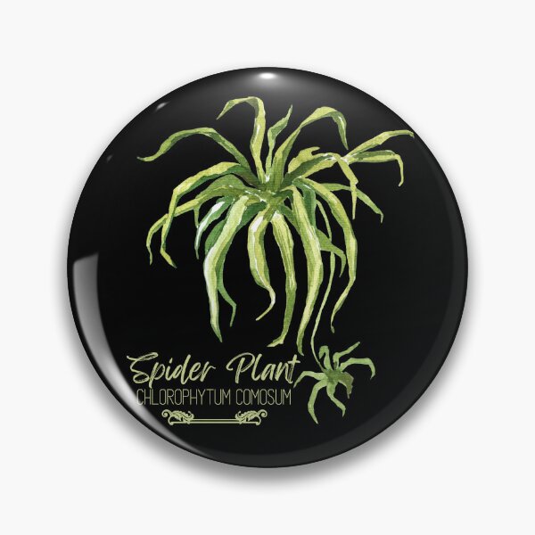 Item preview, Spider Plant Chlorophytum Comosum Green Design designed and sold by EarthArtDesigns.