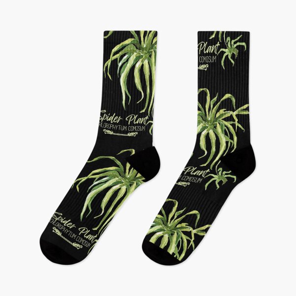 Item preview, Spider Plant Chlorophytum Comosum Green Design designed and sold by EarthArtDesigns.