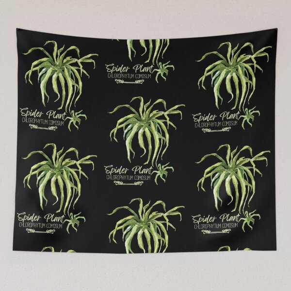 Item preview, Spider Plant Chlorophytum Comosum Green Design designed and sold by EarthArtDesigns.