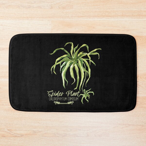 Item preview, Spider Plant Chlorophytum Comosum Green Design designed and sold by EarthArtDesigns.