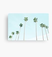 PALM TREES Metal Print