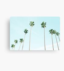 PALM TREES Canvas Print