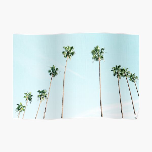 PALM TREES Poster