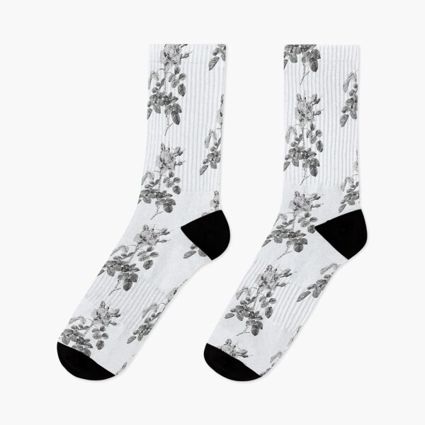 Item preview, Variegated Four-Seasons Rose Flower, Alternative Illustration - Grey and Black Rose designed and sold by DaphneKstudio .