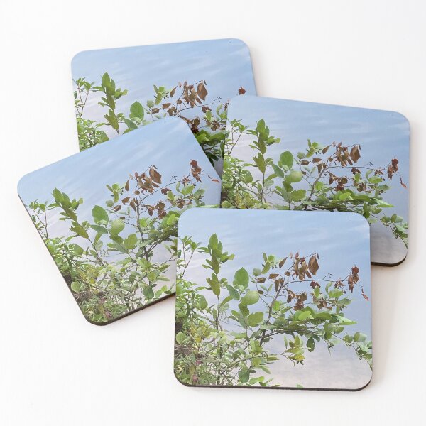 Item preview, Botanical Landscape by the River Bank Photography designed and sold by silviaol.