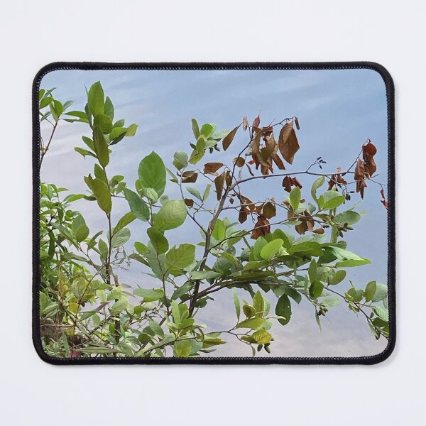 Item preview, Botanical Landscape by the River Bank Photography designed and sold by silviaol.