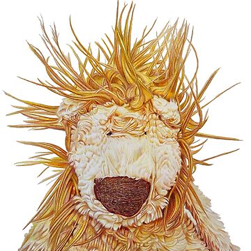 Artwork thumbnail, Bed Head Lion by Kate Woodliff O'Donnell