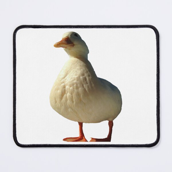 Item preview, GOLDEN GOOSE! designed and sold by SHARMO.