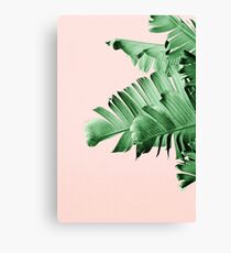 BANANA LEAF Canvas Print