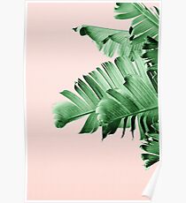 BANANA LEAF Poster