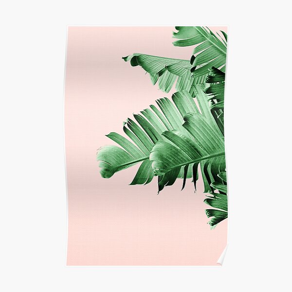 BANANA LEAF Poster